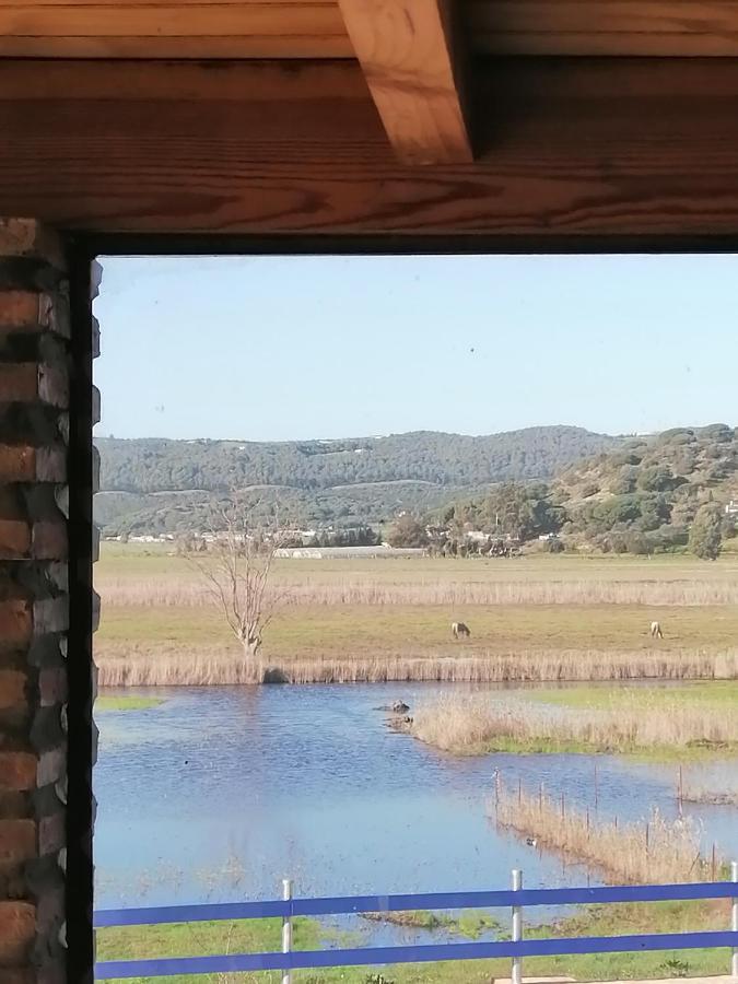 Willa Casa Los Ibis Vejer de la Frontera Zewnętrze zdjęcie